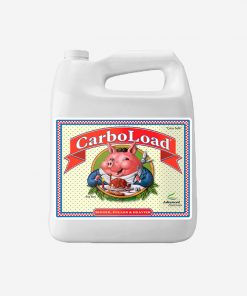 CarboLoad 4 L