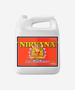 Nirvana 4 L