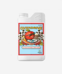 Overdrive 1 L