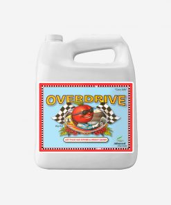 Overdrive 4 L