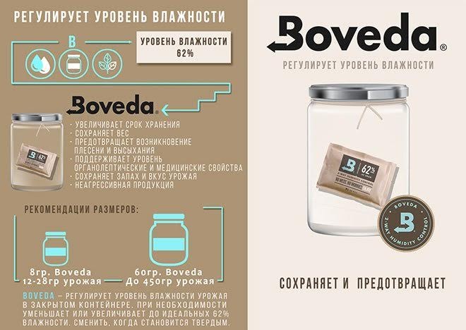 Boveda